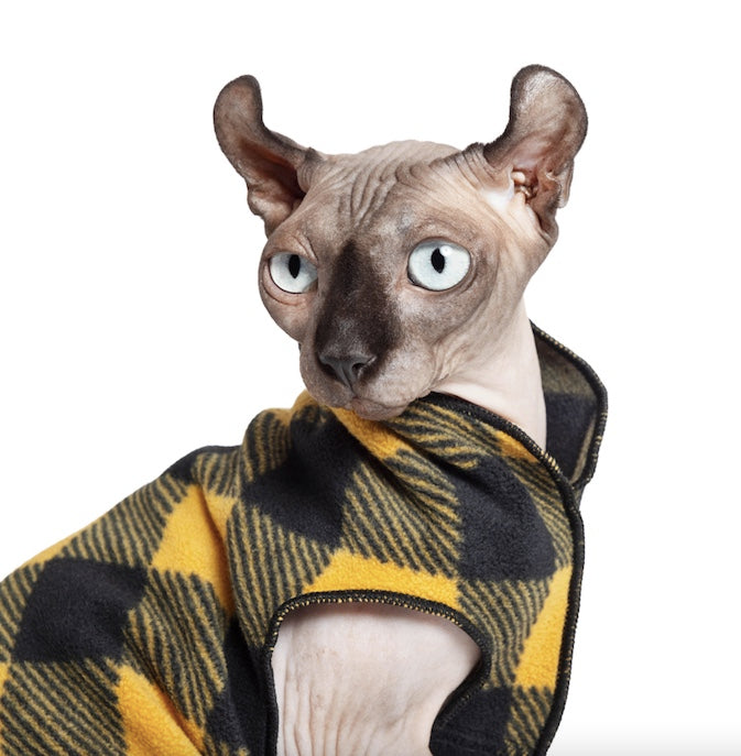 Cat wearing the Stretch fleece coat