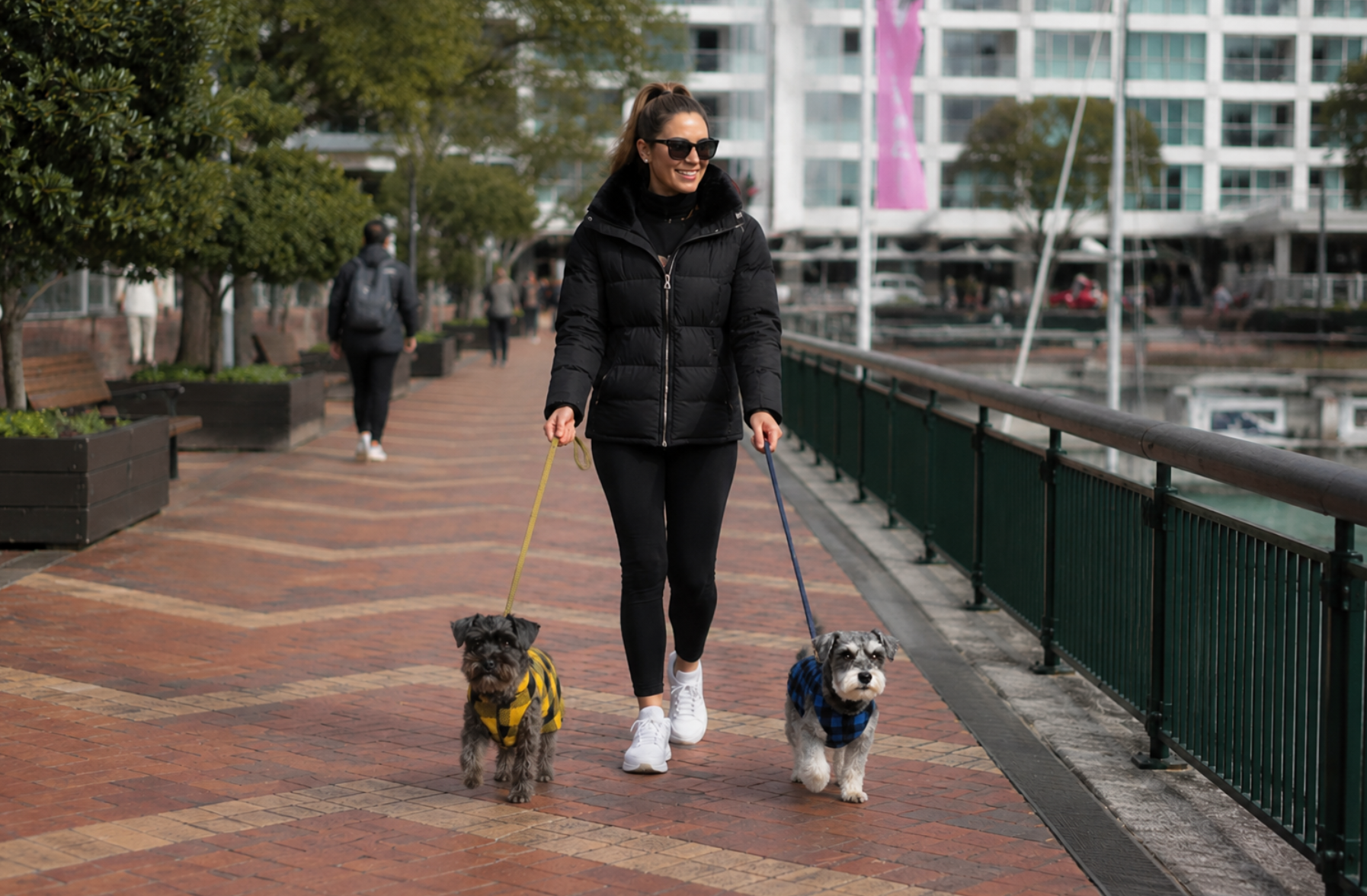 Dog jumper New Zealand