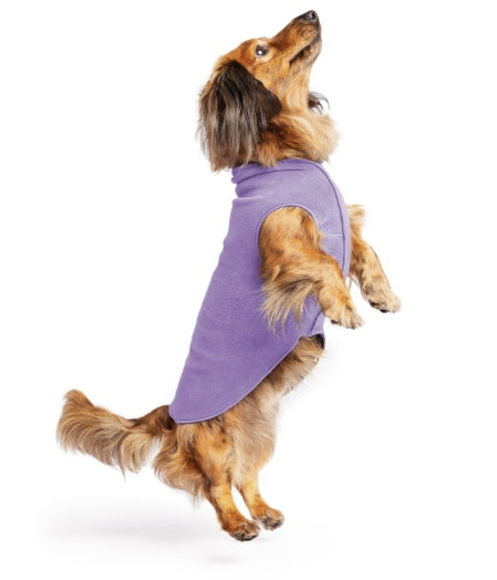 Gorgeous Lavender Dog Fleece on a small dog.