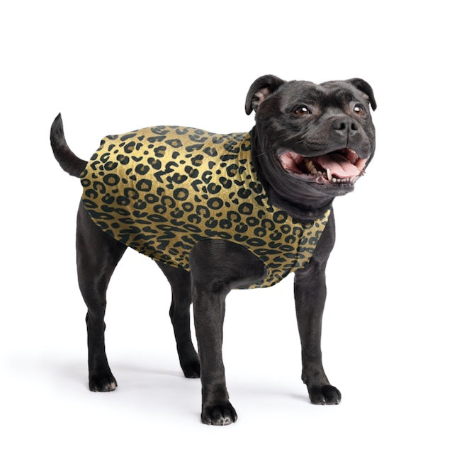 Staffy wearing a Leopard Stretch Fleece size 18 New Zealand