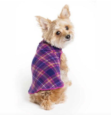 Small dog with the Mulberry Plaid Stretch dog coat on. Auckland