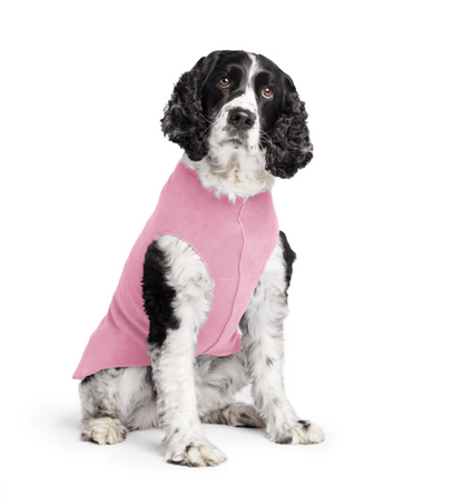Dog jumper Auckland