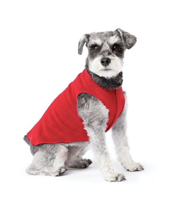 Schnauzer wearing the stretch fleece red Auckland New Zealand