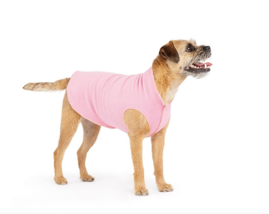Border Terrier wearing the Rose Pink Stretch Fleece dog coat.