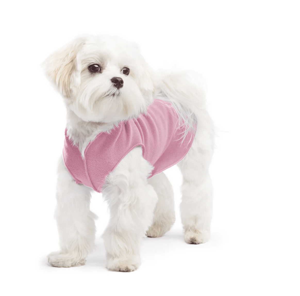 Pink dog fleece NZ