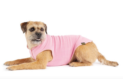 Border Terrier wearing the Rose Pink Stretch Fleece.