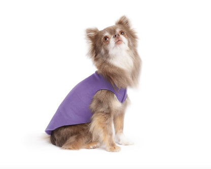 Tiny dog wearing our stretch fleece Lavender.