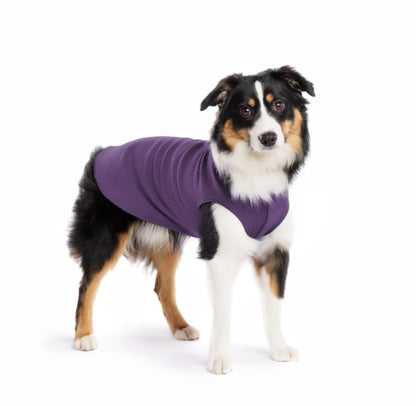 Large dog wearing the Huckleberry stretch fleece.