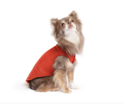 Small dog wearing the stretch fleece Paprika dog coat.