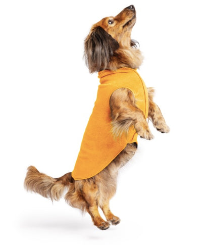 Small dog wearing the cheddar stretch fleece.