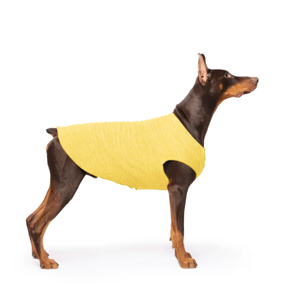 Sun Shield For Dogs Butter New Zealand