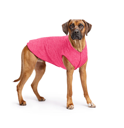 Goldpaw Sun Shield Dog Tee Flamingo