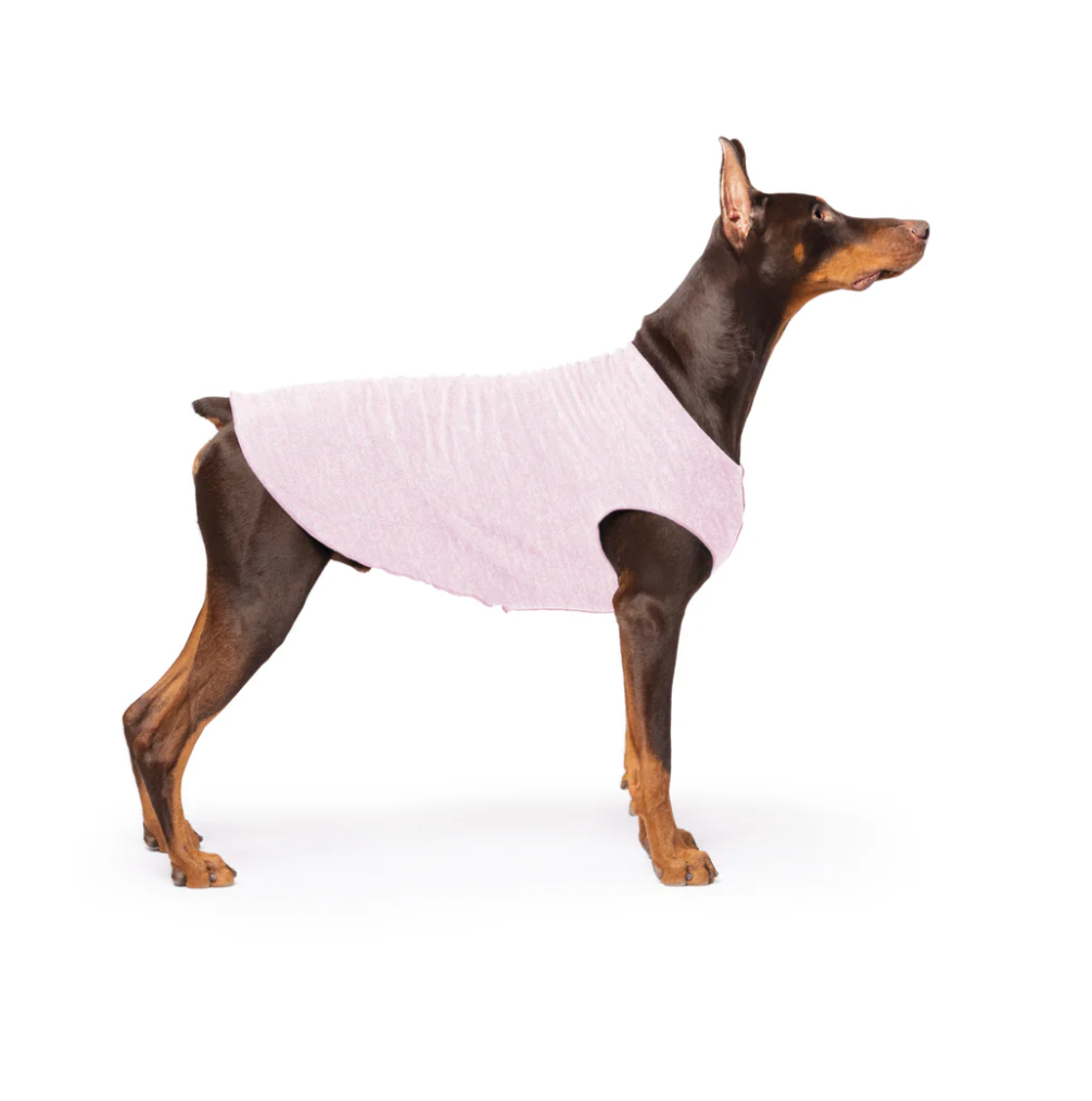 Doberman wearing a Sun Tee Pink Lemonade