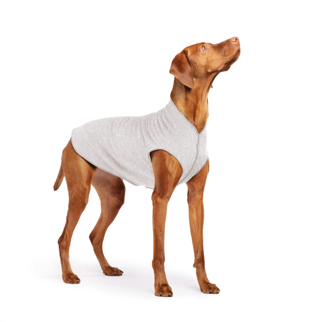Cooling Vest for pets Pebble