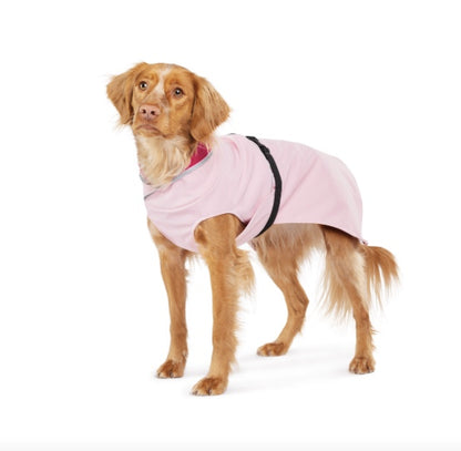 Best dog coat NZ