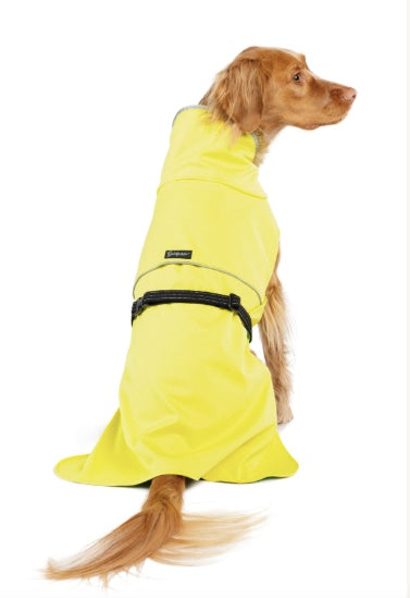 Dog coat yellow NZ