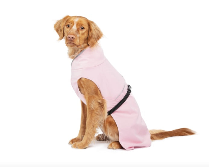 Dog coat for medoum dogs NZ