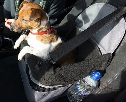 Little Foxy travelling in the Henry Wag Car Booster Seat.