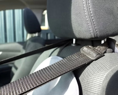 The Henry Wag pet Car Booster Seat is safe and secure.