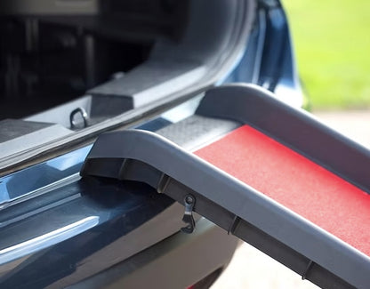Car ramp for older dogs