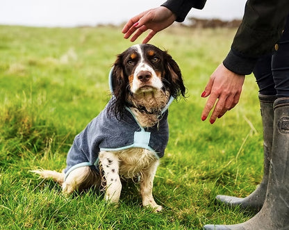 Spaniel wearing the Henry Wag drying coat in wet weather.