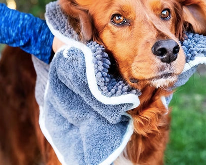 A dog being dried by the Noodle dog towel.