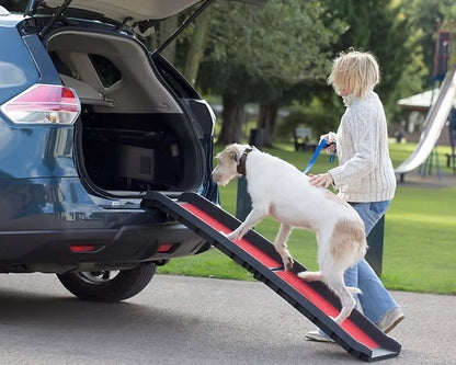 Senior dog using to Henry Wag Car Ramp to get into the boot of the car