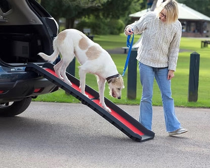 Older dog using the Henry Wag Pet Ramp