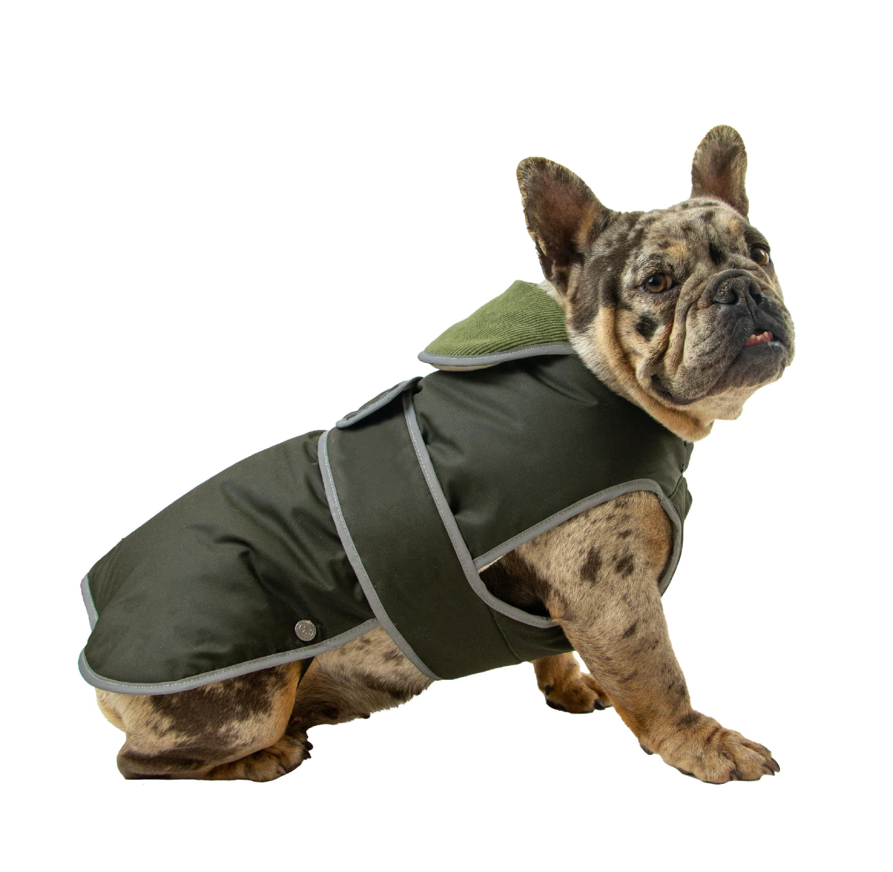 Wax cotton dog coat NZ