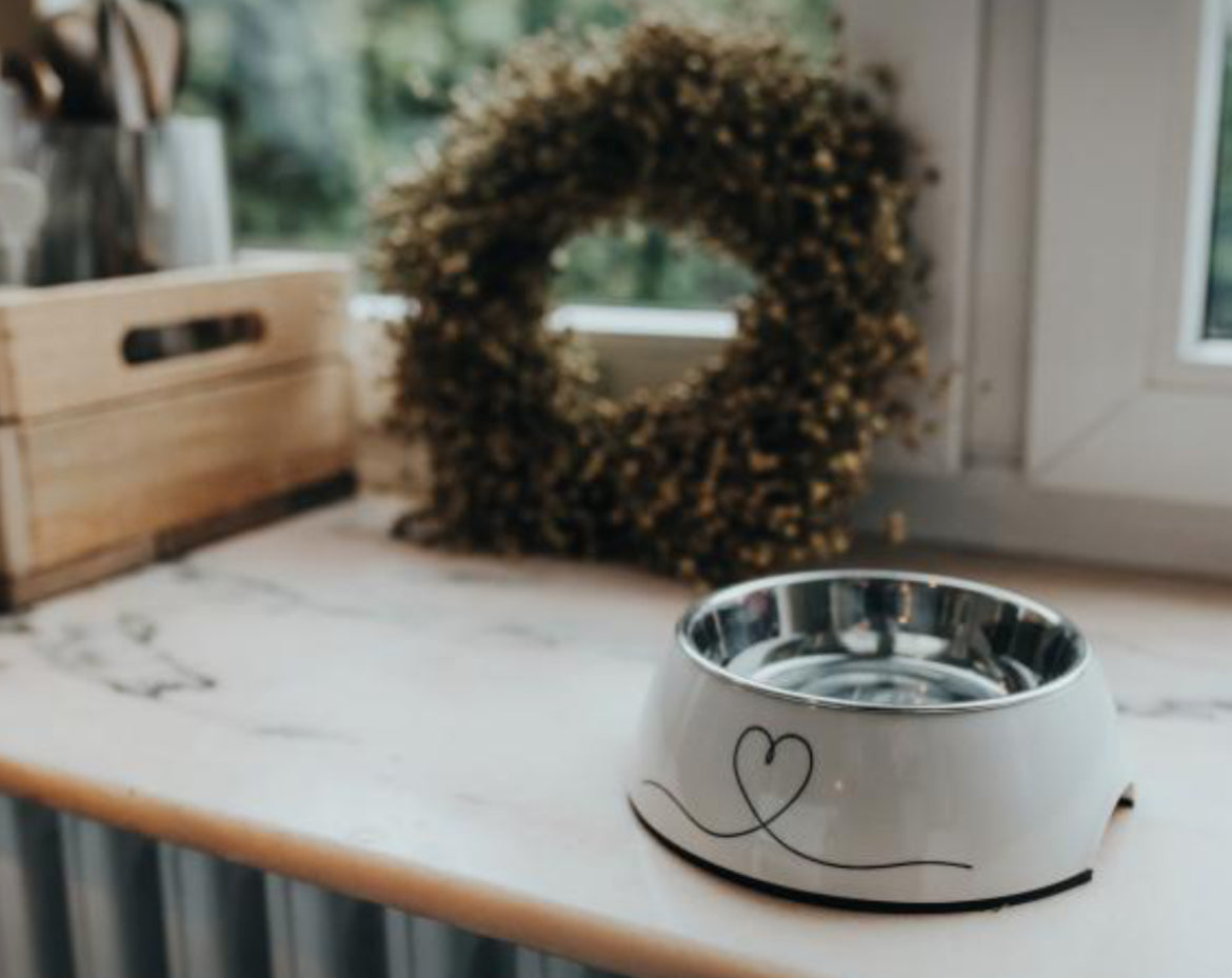 Luxury dog bowl NZ