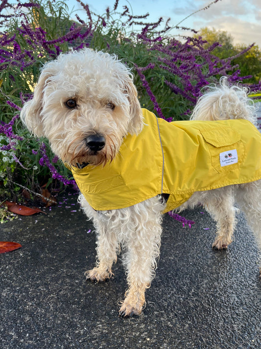 100% Waterproof Reversible Dog Raincoat