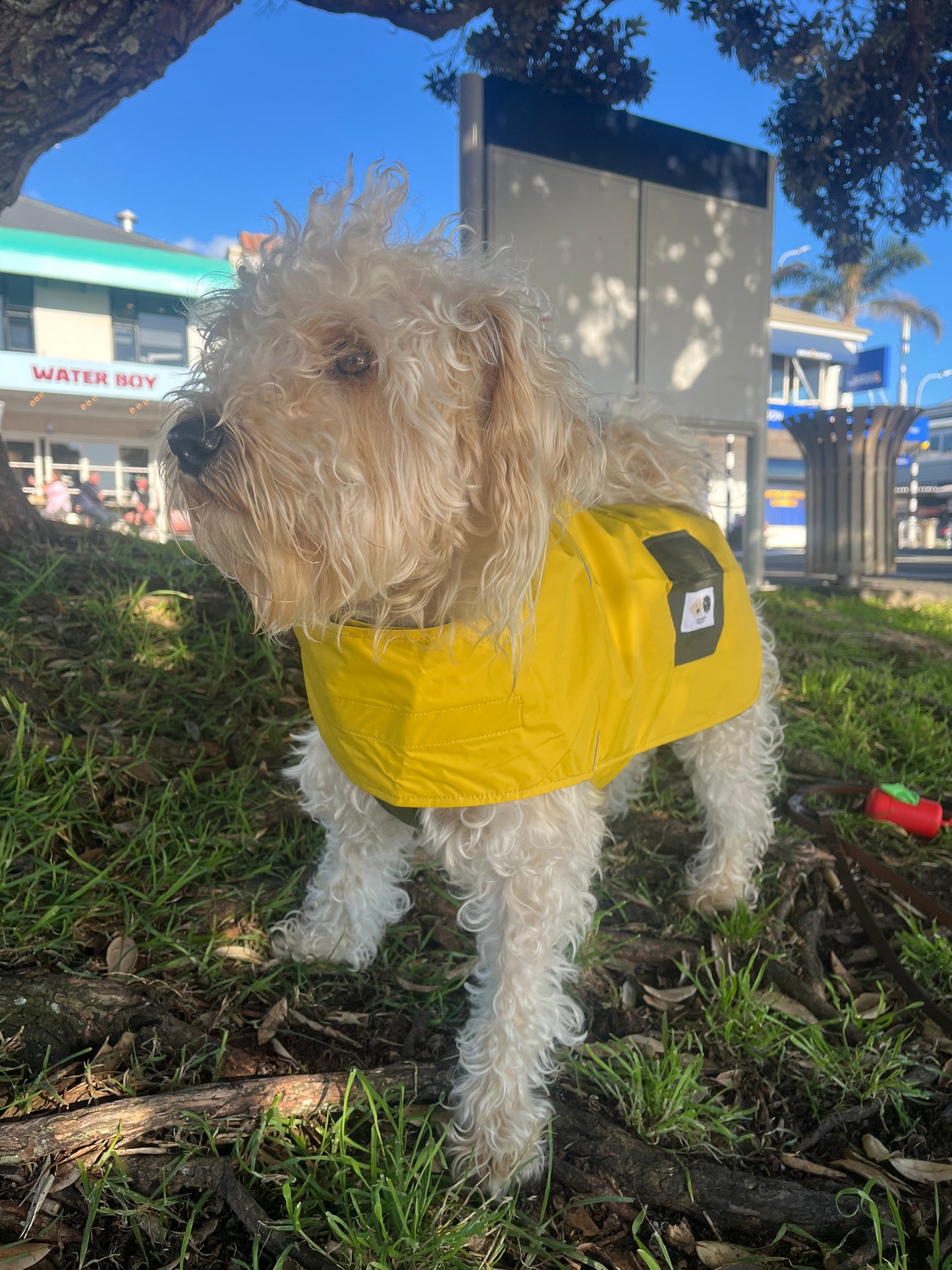 L&P New Style  Waterproof Raincoat  Green and Mustard