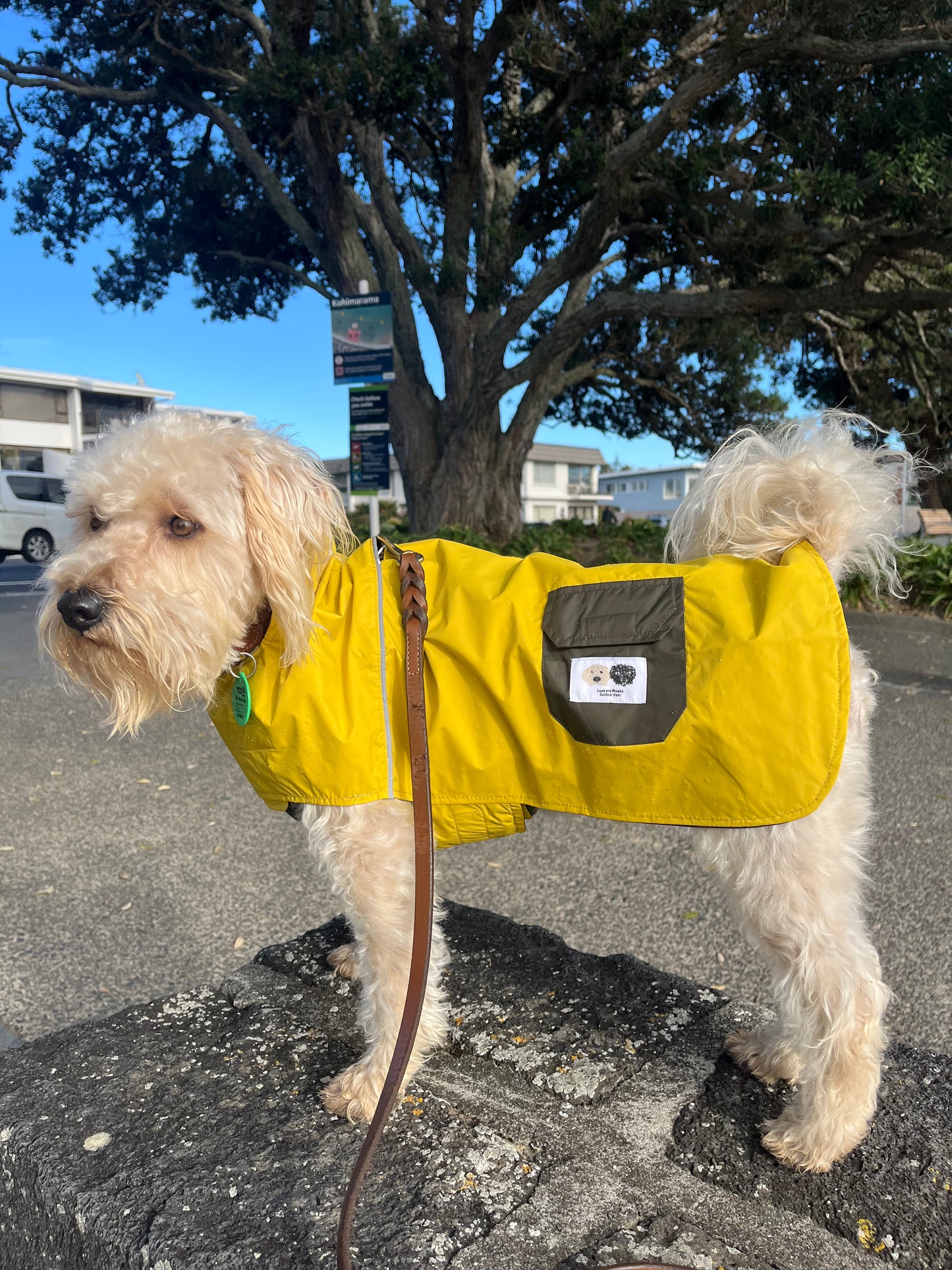 Louis and Phoebe New Style  Waterproof Raincoat  Green and Mustard