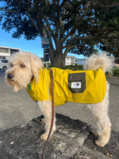 Louis and Phoebe New Style  Waterproof Raincoat  Green and Mustard