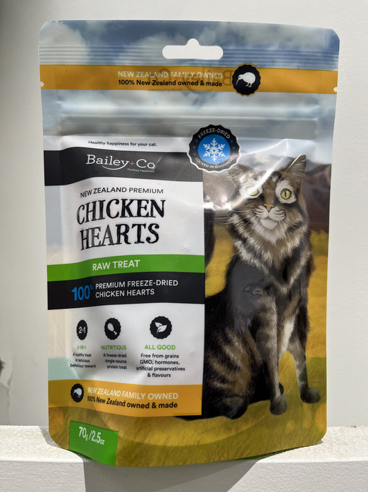 Bailey Co cat chicken heart