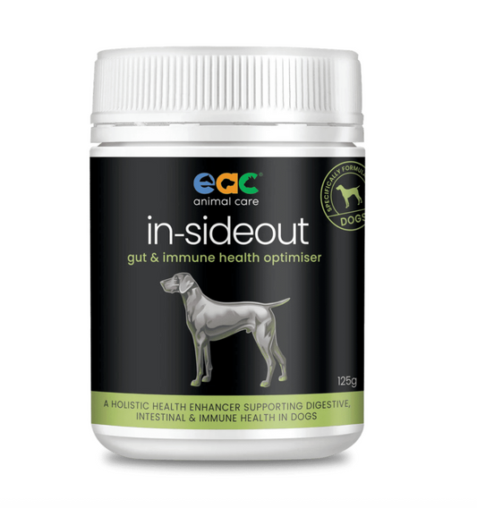 Pre and Probiotic for dogs NZ