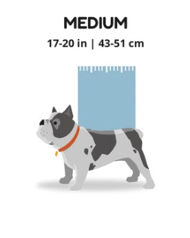 Dog back pack NZ