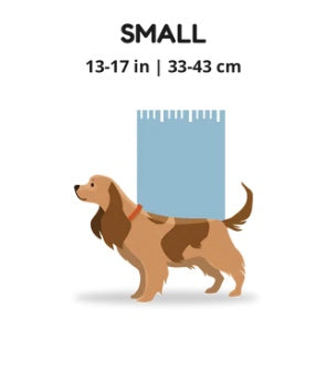 small dog back pack NZ