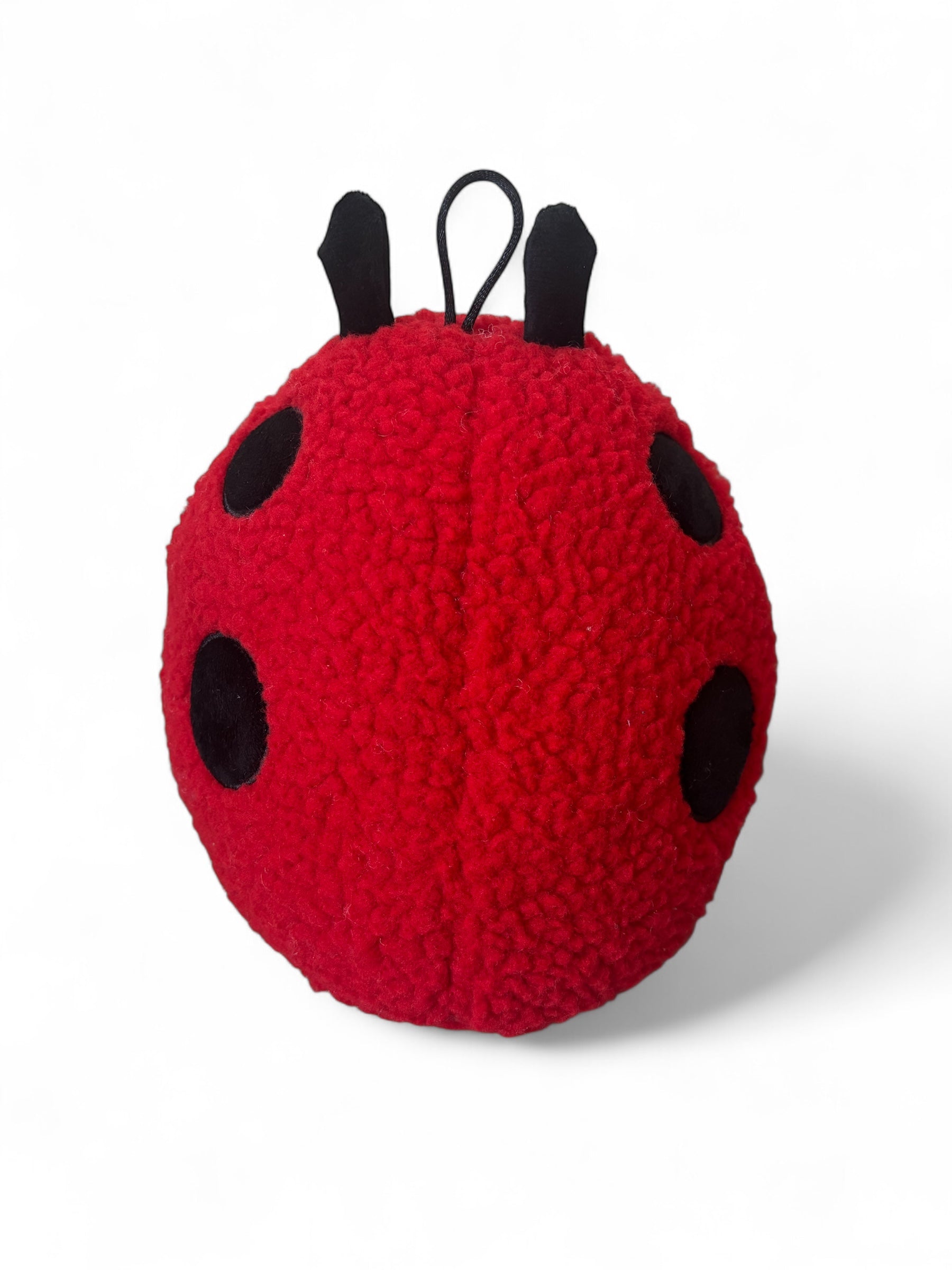Auckland dog toys 