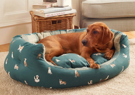 Puppy lying comfortably in its Laura Ashley Park Dogs Slumber Bed
