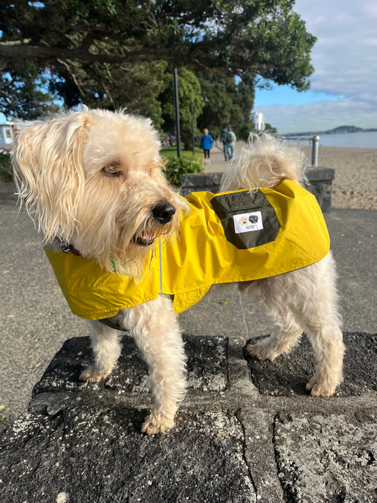 Lightweight dog coat New Zealand