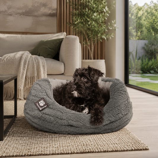 Premium dog beds NZ