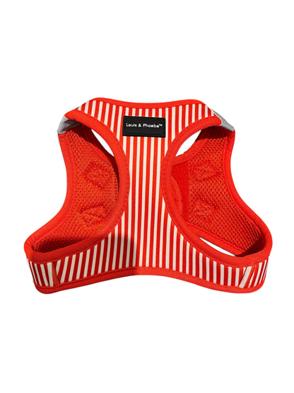 Step-in Dog Harness made from soft Neoprene.  So easy to put on.