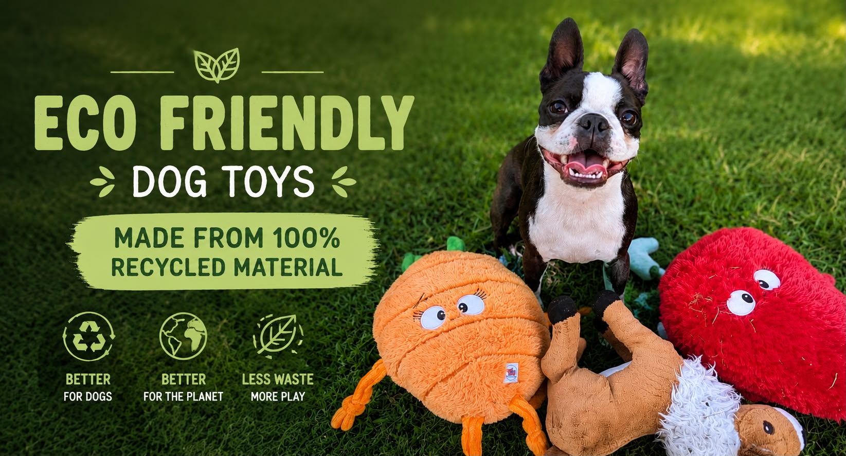 Best dog toys NZ