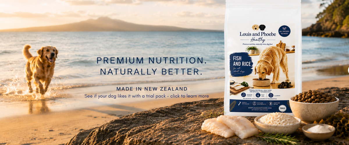 Healthy dog food NZ
