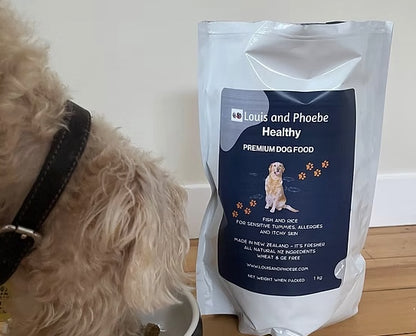 Dog eating Louis and Phoebe Fsh and Rice Hypoallergenic Dog Food