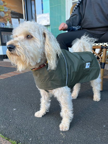 Dog walking coat NZ