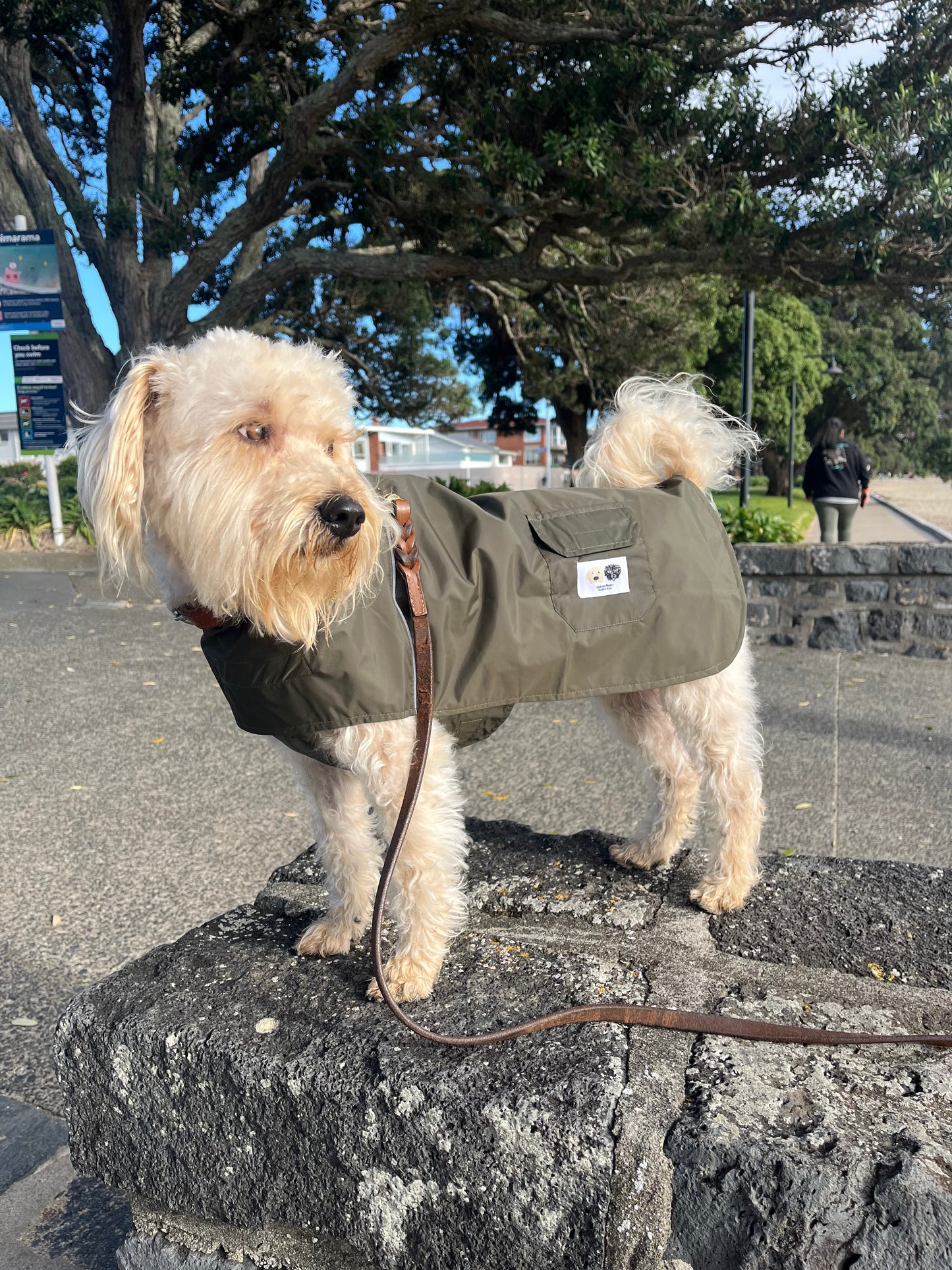 Lightweight dog raincoat New Zealand