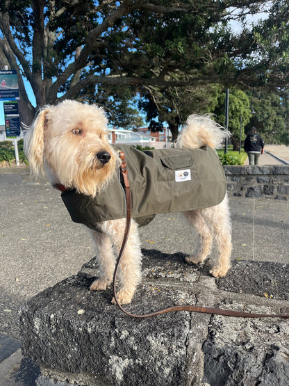 Lightweight dog raincoat New Zealand