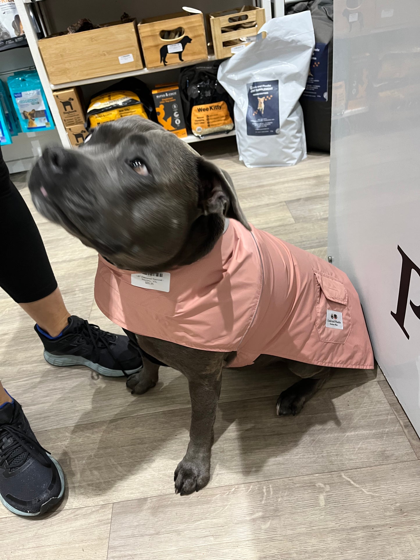 dog coat pink NZ